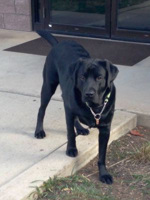 Tucker